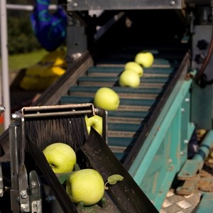 Orchard Equipment Financing