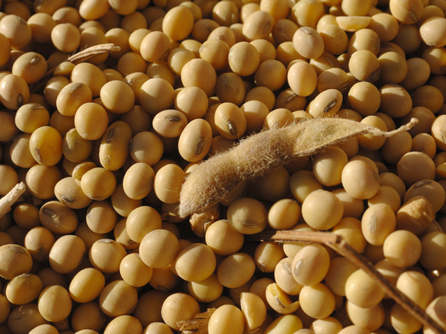 USDA Report Positive For Soybeans 