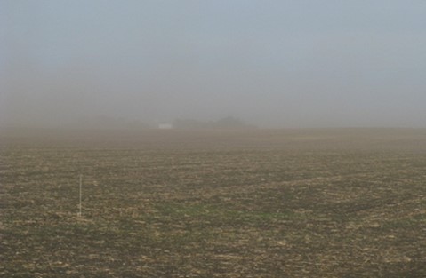 Figure 2. Rolled fields are more susceptible to wind erosion because rolling crushes surface soil aggregates and leaves the field smooth and flat.